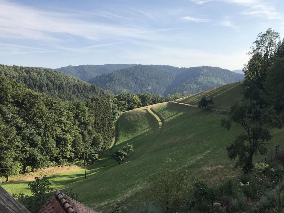 Morgethof Daire Wolfach Dış mekan fotoğraf